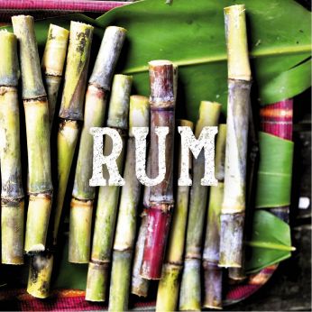 NEUGIERIGE Tasting Serie 2024 - Rhum oder Rum?, the Gallery, St.Gallen, Do 23.05.2024 19:00-20:30 Uhr
