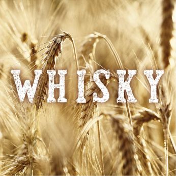 NEUGIERIGE Tasting Serie 2023, Whisky around the World, the Gallery, St.Gallen, Do 30.11.2023 19:00-20:30 Uhr